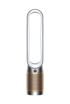 Dyson Purifier Cool Pc2 De Nox Whitegold.jpeg