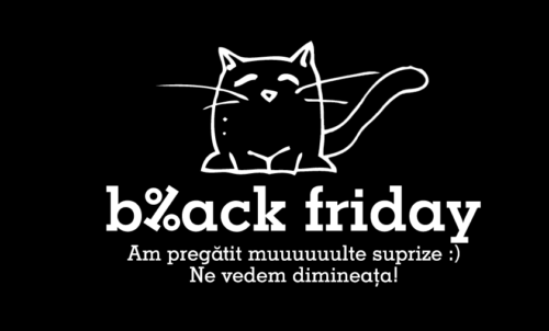 eMAG Black Friday 2012 – Statistici oficiale